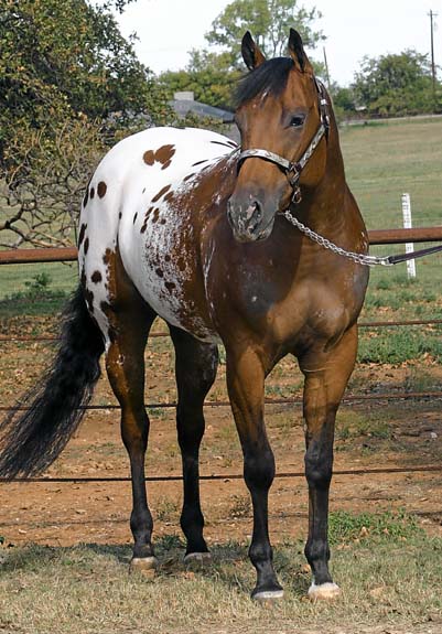 Exec, pictured 11/2010
