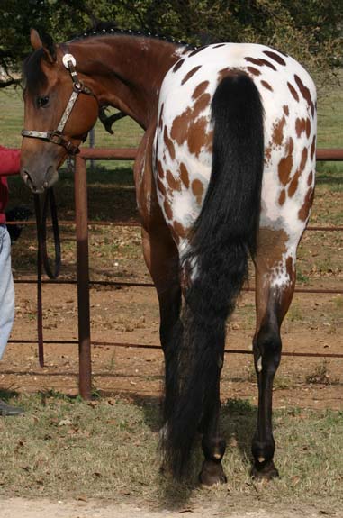 Exec, pictured 11/2010
