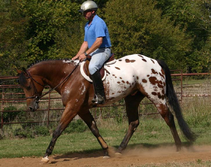 Exec, pictured 11/2010