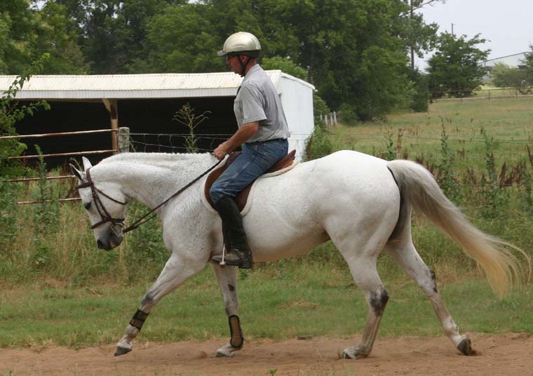 Alias Terlingua King, pictured 06/2010