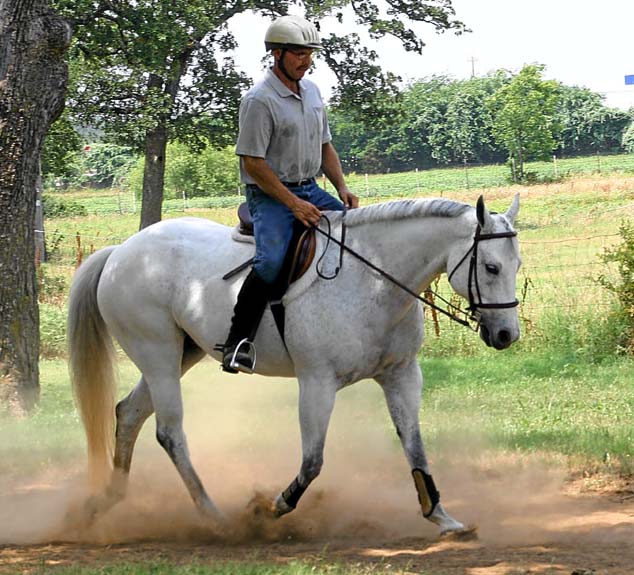 Alias Terlingua King, pictured 06/2010