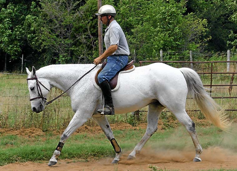 Alias Terlingua King, pictured 06/2010