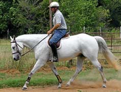 Alias Terlingua King