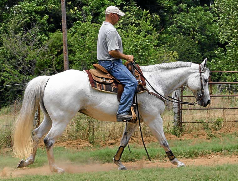 Alias Terlingua King, pictured 06/2010
