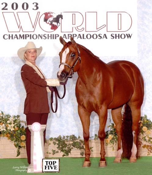 Desinger Debutante, World Showmanship Top 5, November 2006