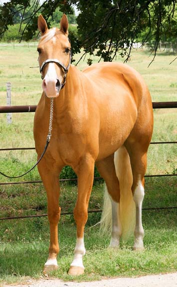 Vestination, pictured 06/20087