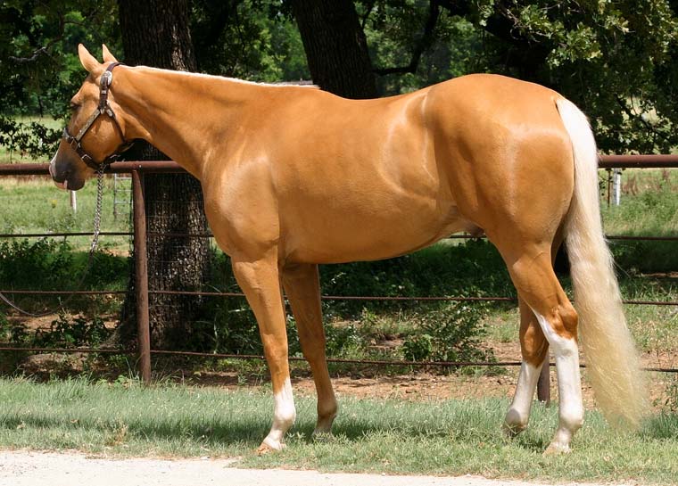 Vestination, pictured 06/20087