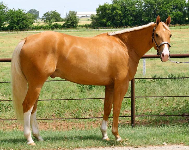 Vestination, pictured 06/20087