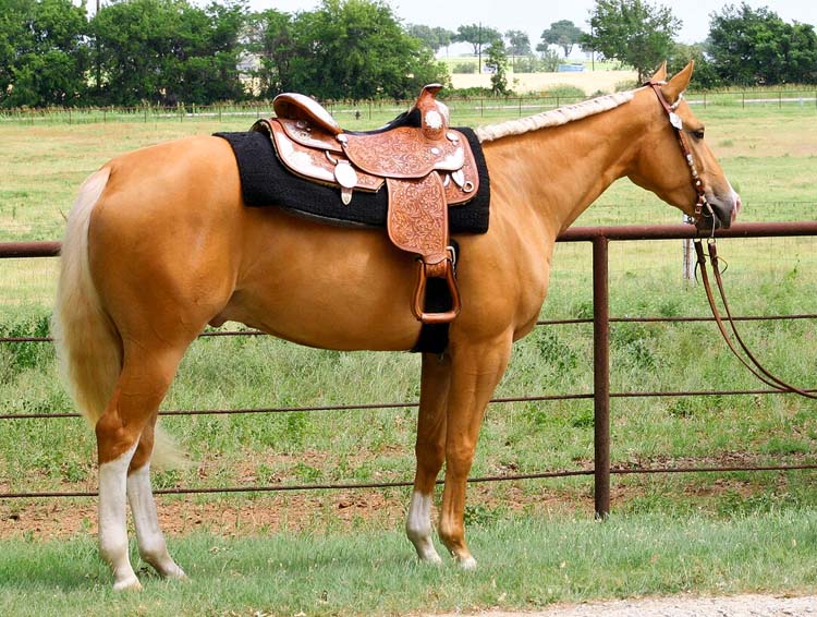 Vestination, pictured 06/2008