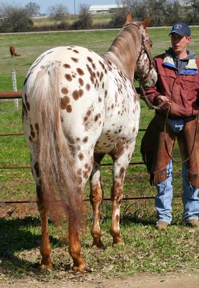 Sierramus, pictured March 2010