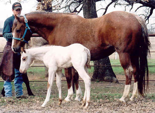 Invested Miss Jones pictured spring 2004
