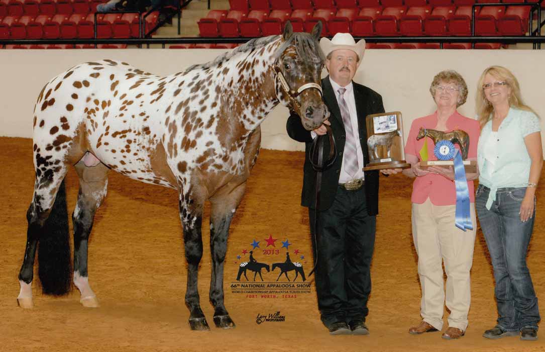 2010 Colt, Shes Way Cool x Illustrator, 2012 National Champion, Color.