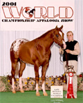 Invitational, Jackie Jackson, 2001 Reserve World Champion Hunter In Hand Stallions