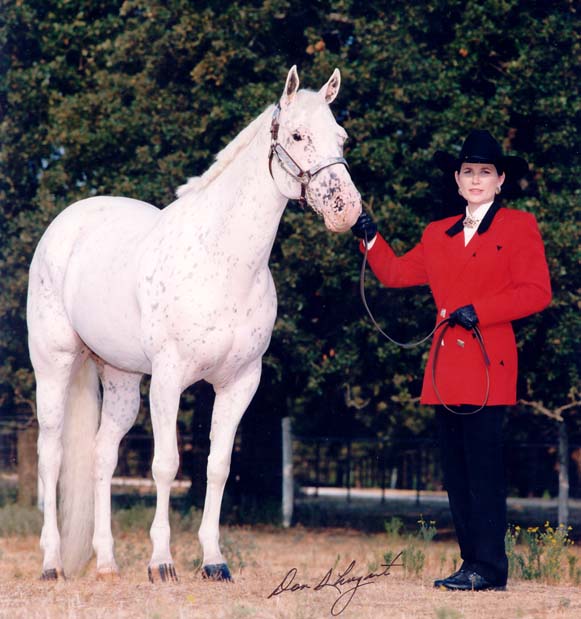 Alias Mitzi King, 1998