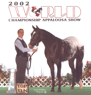 2001 Black Mare, Mr Invitation x Cartoon Series (by Designer Series, ) Top 10, 2002 World Show.