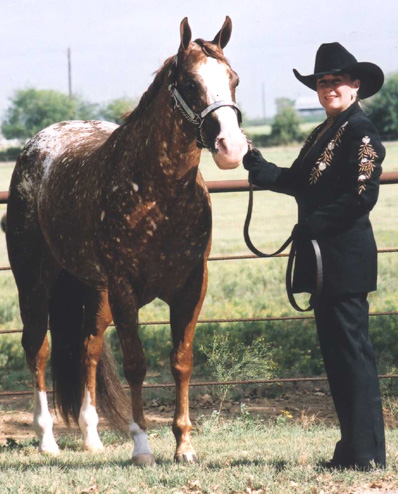 Signature Edition, pictured as a 4-yr-old, September 2002