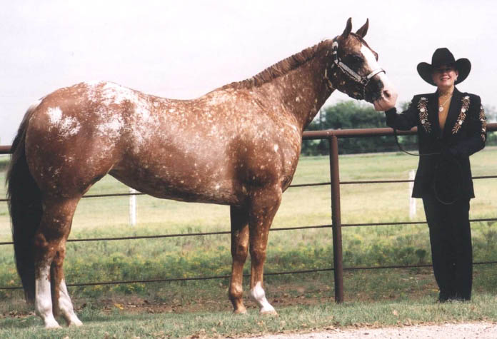 Signature Edition, pictured as a 4-yr-old, September 2002