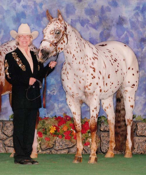 Gypsy, 2009 Appaloosa World Show